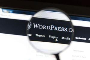 WordPress Maintence Plan